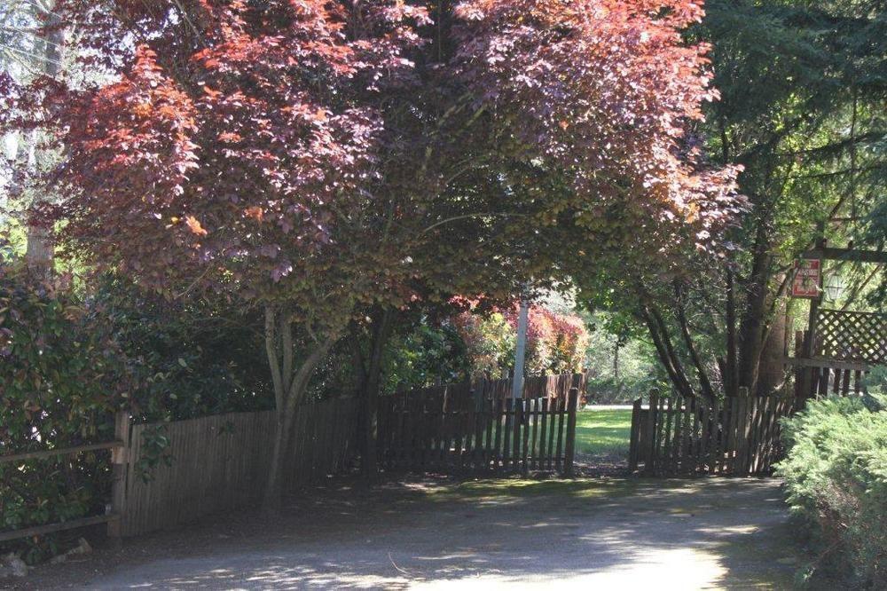 Jayes Timberlane Resort Ben Lomond Exterior foto
